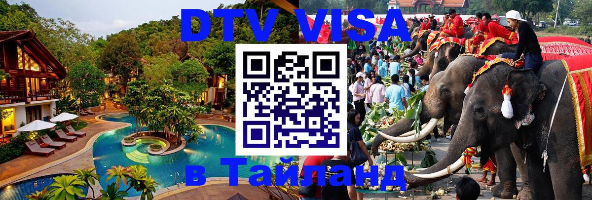 Оформление DTV визы под ключ: стоимость и тарифы, только загранпаспорт - 08.01.2026 